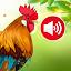 Animal sounds & Bird songs icon