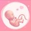 Pregnancy Tracker & Baby Guide icon