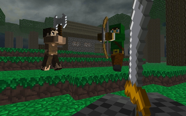 Block Warfare: Medieval Combat screenshots