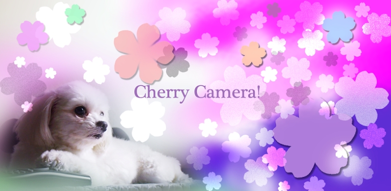 Cherry Camera! screenshots