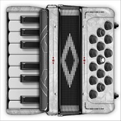 Accordion Piano Learn to Play