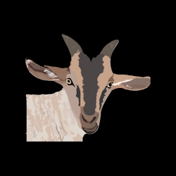My Goat Manager - Farming app