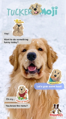 TuckerMoji - Golden Dog Sticke screenshots