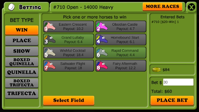 Hooves of Fire - Horse Racing screenshots