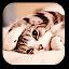 Lazy Cat Live Wallpaper icon