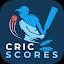CricScores - T20 Live Cricket icon