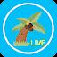 Yaja Live Video Chat icon