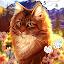 Cat Color by Number Paint Game icon