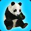 REAL ANIMALS HD icon