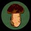 Book of Mushrooms icon