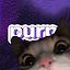 purp - Make new friends icon