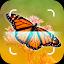 Butterfly Identifier - Insect icon
