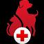 Pet First Aid icon