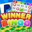 Cash Winner Bingo - Money&gift icon