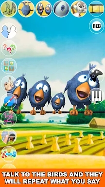 Talking Birds On A Wire screenshots