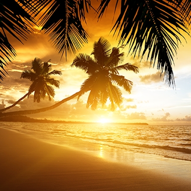 Beach Sunset Live Wallpaper screenshots