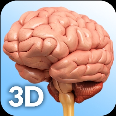 Brain Anatomy Pro. screenshots