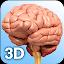 Brain Anatomy Pro. icon