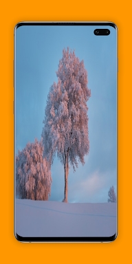 Tree Wallpapers Nature : 4k&HD screenshots