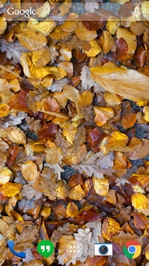 Autumn leaves 3D LWP screenshots