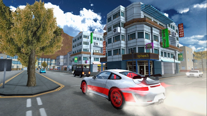 Racing Car Driving Simulator screenshots