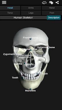 Osseous System in 3D (Anatomy) screenshots
