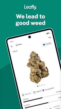 Leafly: Find Cannabis and CBD screenshots