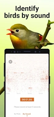 Picture Bird - Bird Identifier screenshots