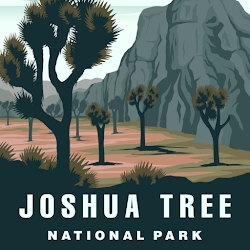 Joshua Tree National Park Tour