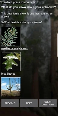 Virginia Tech Tree ID screenshots