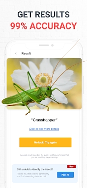 Insect Identifier Bug Identify screenshots