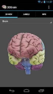 3D Brain screenshots