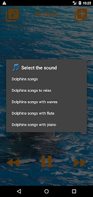 Dolphins songs to sleep screenshots
