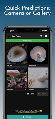 ShroomID - Identify Mushrooms! screenshots