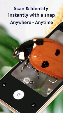 Picture insect: Bug identifier screenshots