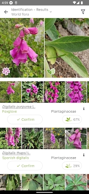 PlantNet Plant Identification screenshots