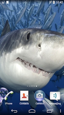 Shark Live Wallpaper screenshots