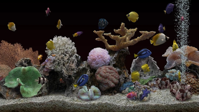 Marine Aquarium 3.3 screenshots