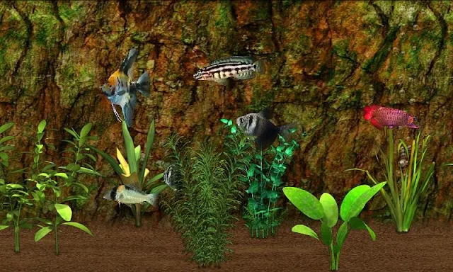 Fish Farm screenshots
