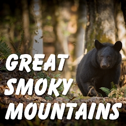 Great Smoky Mountains NP Guide
