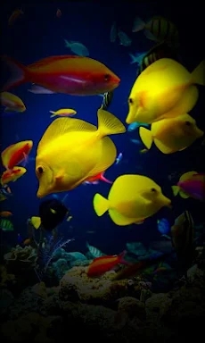 Aquarium Live Wallpaper screenshots