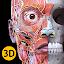 Anatomy 3D Atlas icon