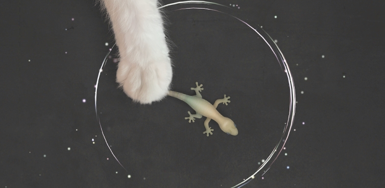 CAT ALONE - Cat Toy screenshots