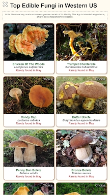 Shroomify - USA Mushroom ID screenshots