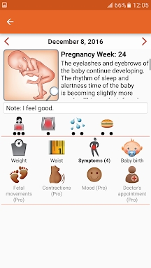 WomanLog Pregnancy Calendar screenshots