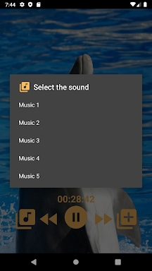 Dolphins - Sound to relax screenshots