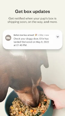 Ollie - Human Grade Dog Food screenshots