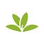 PlantNet Plant Identification icon