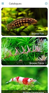 Aquareka - the aquarium guide screenshots