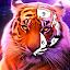 Tiger Coloring Book Color Game icon